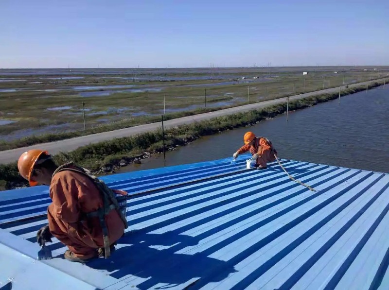 利川彩钢瓦屋面防腐翻新